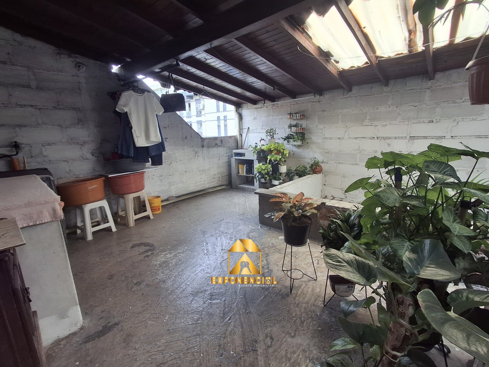 Foto 38